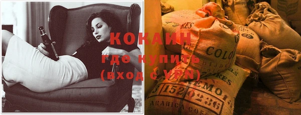 прущие грибы Алагир