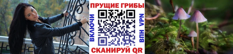 Псилоцибиновые грибы Magic Shrooms  Краснодар 