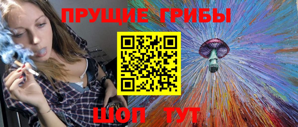 Псилоцибиновые грибы GOLDEN TEACHER  Галлюциногенные грибы Cubensis  Краснодар  Вход с VPN 