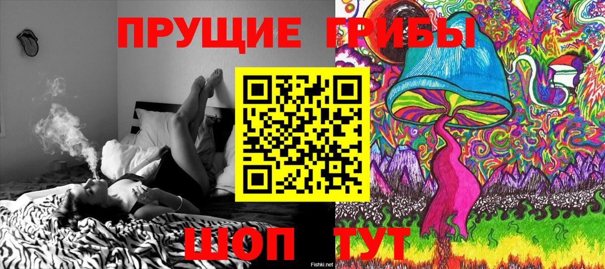 Псилоцибиновые грибы Magic Shrooms Краснодар